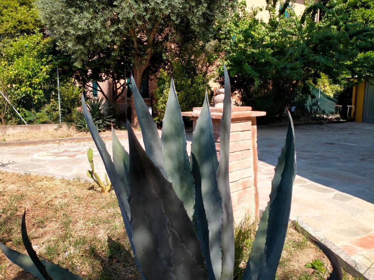 Il Cantuccio Λούκα Εξωτερικό φωτογραφία